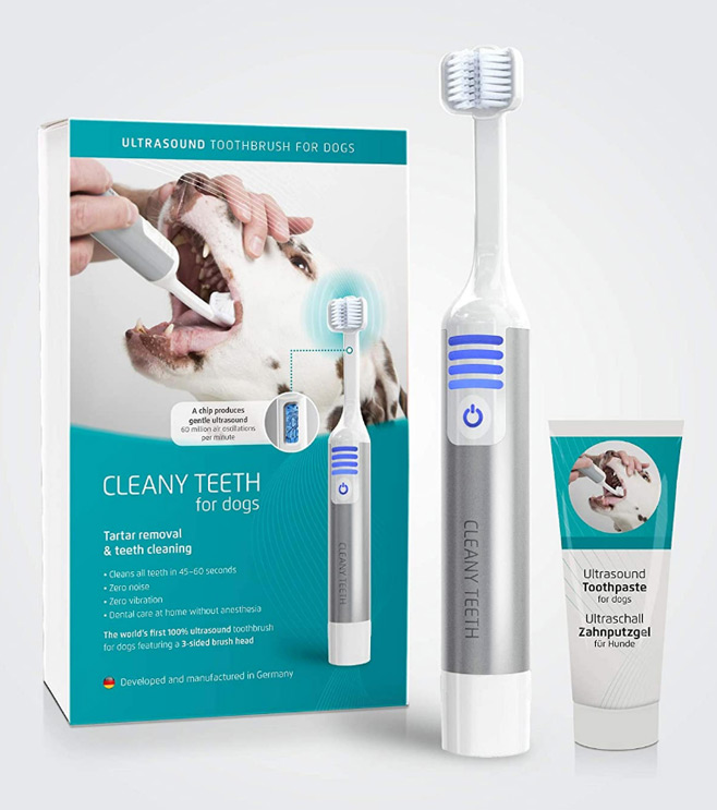 tash paws parlour dog grooming